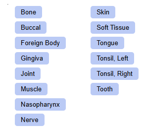 OMF - Wisdom Simulator Screenshot