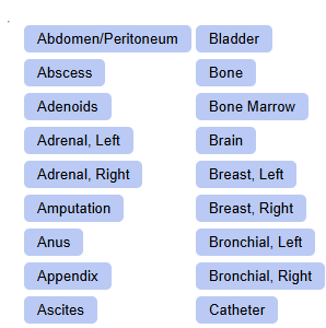 Radiology - Radiant Simulator Screenshot